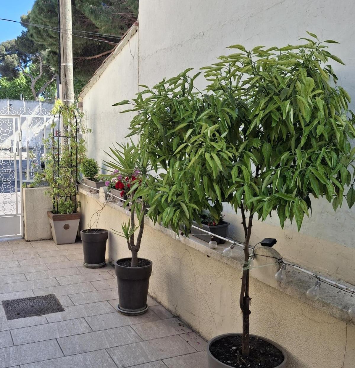 Mistral Appartements Port-Saint-Louis-du-Rhοne Εξωτερικό φωτογραφία